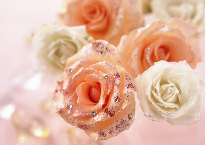 无人,横图,俯视,室内,特写,白天,爱情,幸福,纯洁,热情,玫瑰,阴影,粉色背景,朦胧,模糊,装饰,盛开,反射,影子,食品,糖,糖果,甜点,甜品,玫瑰花,浪漫,花蕾,花,花瓣,花朵,鲜花,食物,甜食,花苞,花蕊,温暖,温馨,恩爱,摄影,影棚,华丽,修饰,点缀,和睦,感动,衬托,美观,雅致,雅观,尊敬,糖珠,银珠糖,装饰糖,糖果珠,天真,刺玫花,徘徊花,彩图,高角度拍摄,影棚拍摄,拍摄,融洽