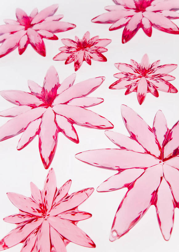 无人,竖图,室内,特写,白天,白色背景,正面,爱情,幸福,静物,盛开,透明,粉红色,粉红,浪漫,花蕾,花,花瓣,花朵,鲜花,粉色,花苞,花蕊,健康,可爱,摄影,活泼,影棚,青春,满足,甜美,时髦,温柔,纯真,通明,彩图,影棚拍摄,拍摄