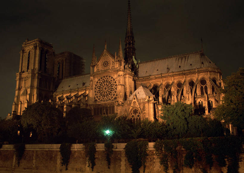 无人,教堂,横图,室外,夜晚,仰视,旅游,度假,名胜古迹,植物,标志建筑,地标,建筑,路灯,照明,法国,巴黎,巴黎圣母院,欧洲,阴影,节日,遗迹,光线,影子,灯光,首都,古迹,文化,文物,娱乐,建设,古建筑,灯,树,树木,绿色,自然,祈祷,享受,休闲,健康,旅游胜地,放松,许愿,宗教,信仰,生长,成长,纪念,哥特式,祈求,照亮,基督教,照明设备,天主教,信念,古文明,哥特式建筑,法兰西共和国,巴黎圣母院大教堂,法兰西第五共和国,平安,彩图,低角度拍摄,大教堂,礼拜堂