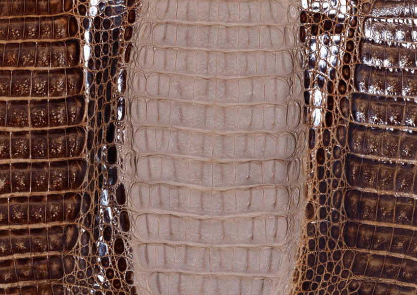 无人,横图,室内,特写,白天,正面,静物,一块,丰富,装饰,纹路,纹理,皮,褐色,皮革,温暖,成熟,皮肤,保暖,华丽,鳄鱼皮,皮毛,点缀,御寒,肌理,衬托,美观,雅致,雅观,谦让,随和,彩图,鳄鱼皮革