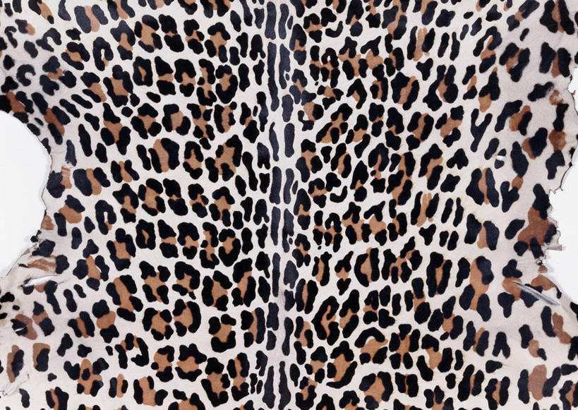 无人,横图,室内,特写,白天,正面,静物,一块,装饰,纹路,纹理,皮,皮革,黄色,白色,黑色,温暖,皮肤,保暖,华丽,牛皮,皮毛,点缀,御寒,肌理,衬托,美观,雅致,雅观,彩图,牛皮革,小牛皮