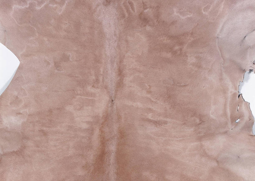 无人,横图,室内,特写,白天,正面,静物,一块,丰富,装饰,纹路,纹理,皮,褐色,皮革,温暖,成熟,皮肤,保暖,华丽,牛皮,皮毛,点缀,御寒,肌理,衬托,美观,雅致,雅观,谦让,随和,彩图,牛皮革,小牛皮