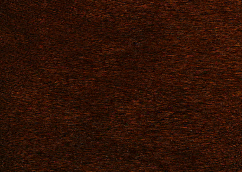 无人,横图,室内,特写,白天,正面,静物,一块,丰富,装饰,纹路,纹理,皮,褐色,皮革,温暖,成熟,皮肤,保暖,华丽,牛皮,皮毛,点缀,御寒,肌理,衬托,美观,雅致,雅观,谦让,随和,彩图,牛皮革,小牛皮