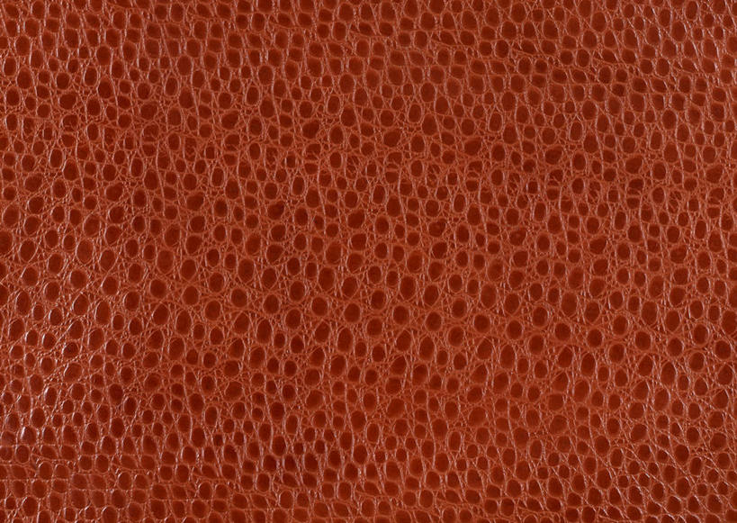 无人,横图,室内,特写,白天,正面,静物,一块,丰富,装饰,纹路,纹理,皮,褐色,皮革,温暖,成熟,皮肤,保暖,华丽,牛皮,皮毛,点缀,御寒,肌理,衬托,美观,雅致,雅观,谦让,随和,彩图,牛皮革,黄牛皮