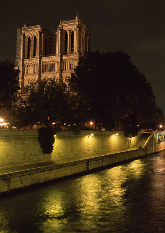 无人,教堂,竖图,室外,夜晚,仰视,旅游,度假,河流,名胜古迹,水,植物,标志建筑,地标,建筑,法国,巴黎,巴黎圣母院,欧洲,波纹,节日,遗迹,河水,水流,涟漪,首都,古迹,文化,文物,娱乐,建设,古建筑,树,树木,绿色,倒影,水纹,自然,波浪,祈祷,享受,休闲,健康,旅游胜地,放松,许愿,宗教,信仰,生长,成长,纪念,哥特式,祈求,倒映,基督教,信念,古文明,哥特式建筑,法兰西共和国,巴黎圣母院大教堂,水晕,法兰西第五共和国,反照,平安,彩图,低角度拍摄,大教堂,礼拜堂