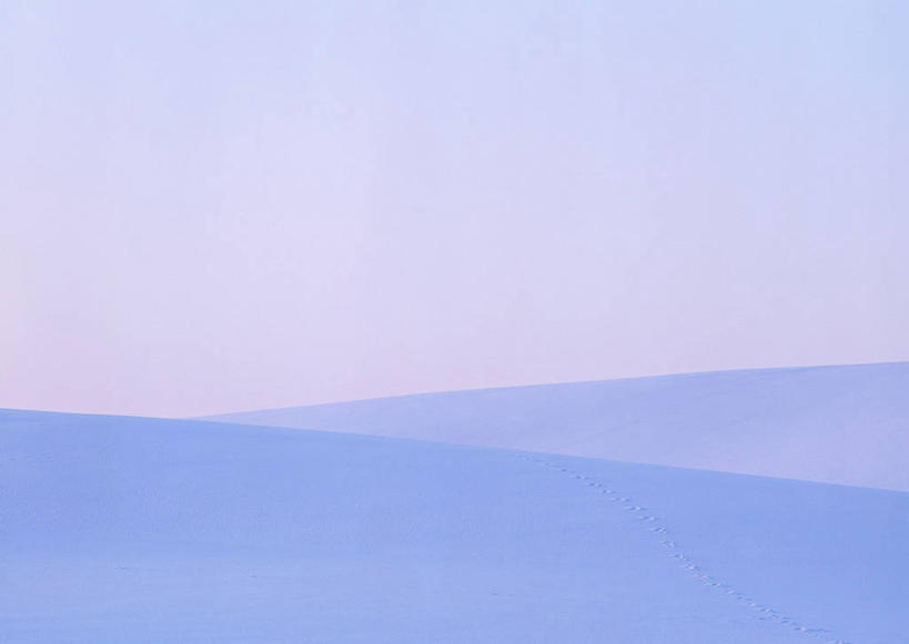 无人,横图,室外,白天,正面,旅游,度假,美景,雪,大雪,北海道,日本,亚洲,阴影,光线,影子,积雪,景观,雪景,冬季,冬天,娱乐,蓝色,蓝天,天空,阳光,自然,天,享受,休闲,景色,放松,寒冷,晴朗,自然风光,东亚,万里无云,日本国,北海道地方,北海道岛,美瑛町,严寒,美瑛,道北,晴空,晴空万里,彩图,上川郡,上川支厅