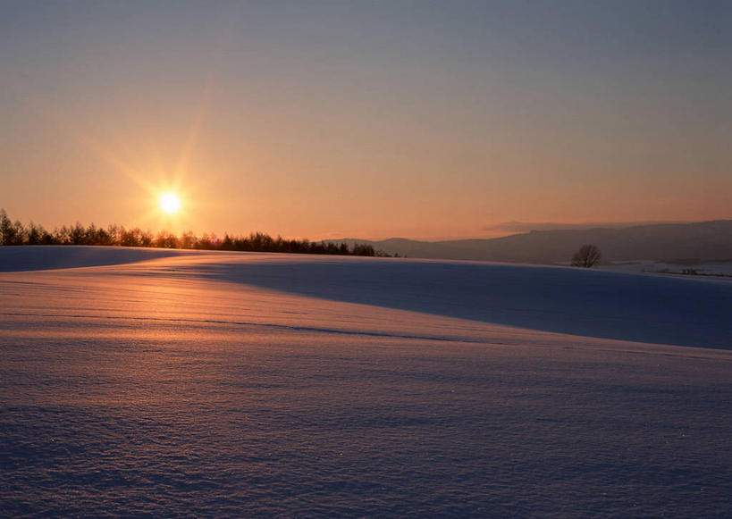 无人,横图,室外,白天,正面,旅游,度假,美景,日落,树林,雪,植物,大雪,北海道,日本,亚洲,阴影,光线,影子,积雪,景观,晚霞,霞光,雪景,冬季,冬天,落日,背光,娱乐,树,树木,绿色,阳光,自然,黄昏,享受,休闲,景色,彩霞,放松,寒冷,生长,成长,自然风光,逆光,东亚,日本国,北海道地方,北海道岛,美瑛町,严寒,美瑛,道北,夕照,薄暮,夕阳,彩图,傍晚,上川郡,斜阳,上川支厅