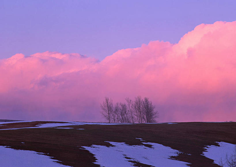 无人,横图,室外,白天,正面,旅游,度假,美景,日落,雪,植物,大雪,北海道,日本,亚洲,阴影,光线,影子,积雪,景观,晚霞,霞光,雪景,冬季,冬天,落日,娱乐,树,树木,绿色,阳光,自然,黄昏,享受,休闲,景色,彩霞,放松,寒冷,生长,成长,自然风光,东亚,日本国,北海道地方,北海道岛,美瑛町,严寒,美瑛,道北,夕照,薄暮,夕阳,彩图,傍晚,上川郡,斜阳,上川支厅