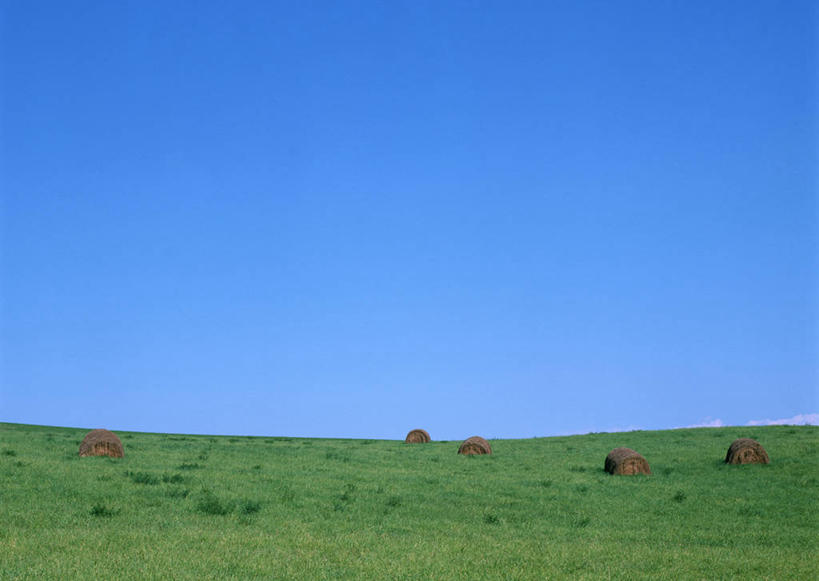 无人,农场,横图,室外,白天,正面,旅游,度假,畜牧业,牧场,草地,草坪,美景,植物,北海道,日本,亚洲,阴影,光线,影子,地平线,景观,辽阔,干草,地面,娱乐,草,蓝色,绿色,蓝天,天空,阳光,自然,草垛,天,享受,休闲,广阔,景色,放松,晴朗,一望无际,自然风光,延伸,东亚,畜牧,万里无云,日本国,天地相交,北海道地方,北海道岛,富良野,牧业,道北,富良野市,无边无际,一马平川,干草垛,晴空,晴空万里,彩图,上川支厅