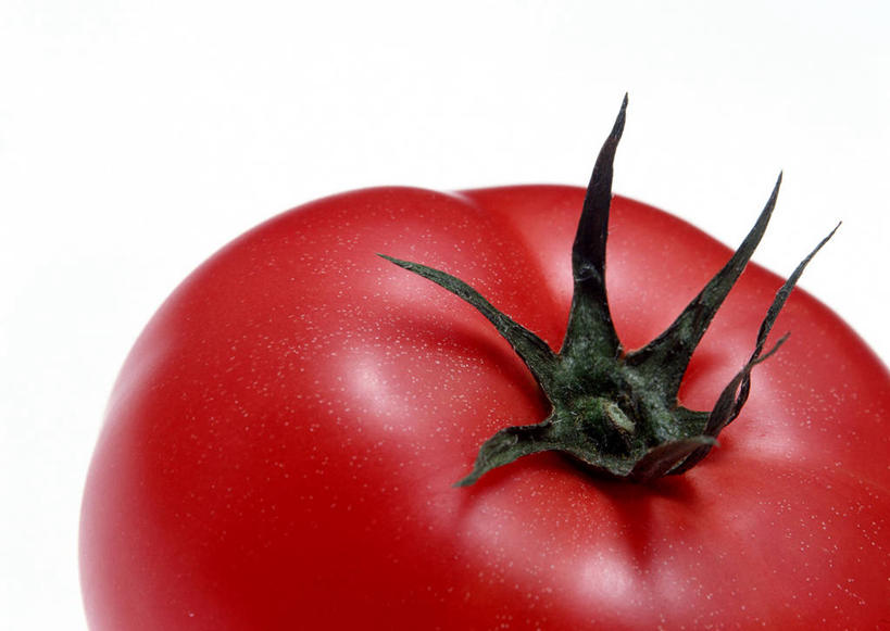 无人,横图,俯视,室内,特写,白天,白色背景,蔬菜,西红柿,叶子,阴影,新鲜,反射,影子,食品,绿叶,食物,一个,红色,嫩叶,摄影,有机食品,绿色食品,影棚,单个,叶,叶片,洋柿子,柑仔蜜,番茄,臭柿,彩图,高角度拍摄,影棚拍摄,拍摄,六月柿,喜报三元