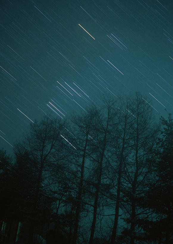 无人,竖图,室外,夜晚,仰视,神秘,极光,流星,美景,森林,树林,星空,植物,夜景,景观,背光,辉煌,浪漫,美丽,文化,树,树木,绿色,自然,祈祷,灿烂,景色,许愿,生长,成长,气象,华丽,祈求,天体,美好,天文,神奇,逆光,天文学,绚烂,光耀,极光带,极光弧,极光幔,极光芒,极光片,流星雨,星夜,夜空,彩图,低角度拍摄,猎户座流星雨