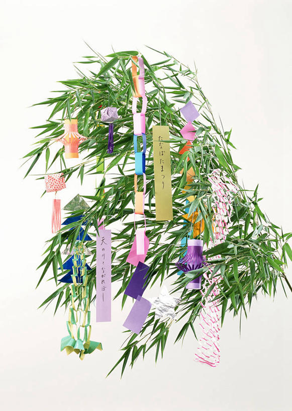 无人,竖图,彩色,室内,特写,白天,白色背景,正面,爱情,植物,叶子,情人节,吊挂,悬挂,节日,七夕,庆祝,装饰,日文,标志,文字,纹理,纸,字符,绿叶,枝条,浪漫,挂,文化,标识,树,树木,树枝,绿色,庆典,温暖,温馨,嫩叶,恩爱,摄影,影棚,纪念,五颜六色,华丽,修饰,色彩斑斓,点缀,和睦,五彩缤纷,肌理,七夕节,日语,衬托,美观,雅致,雅观,织女,牛郎,五彩斑斓,乞巧节,虬枝,枝杈,五光十色,叶,叶片,叶脉,彩图,影棚拍摄,拍摄,融洽