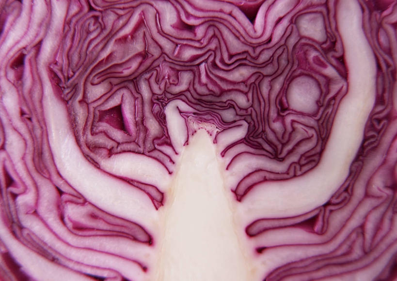 无人,横图,室内,特写,白天,正面,蔬菜,椰菜,卷心菜,切开,新鲜,紫甘蓝,食品,半个,紫包菜,食物,紫色,切,一半,赤甘蓝,甘蓝,有机食品,绿色食品,剖面,紫椰菜,切面,紫圆白菜,甘蓝菜,结球甘蓝,红甘蓝,甘兰,包心菜,彩图