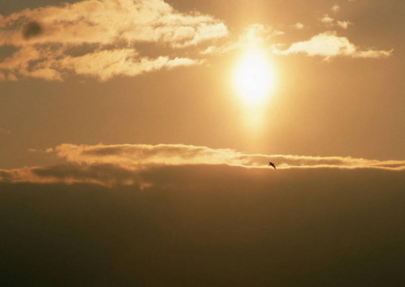 无人,横图,室外,特写,白天,仰视,美景,日落,阴影,光线,影子,景观,晚霞,霞光,落日,阳光,自然,黄昏,景色,彩霞,自然风光,夕照,薄暮,夕阳,彩图,低角度拍摄,傍晚,斜阳