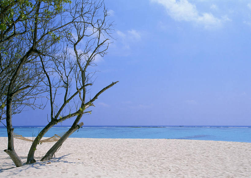 无人,横图,室外,白天,正面,旅游,度假,海浪,海洋,美景,沙滩,植物,棕榈树,叶子,马尔代夫,亚洲,阴影,光线,沙子,影子,海岸,景观,浪花,水平线,云,云朵,辽阔,绿叶,海平线,沙地,云彩,娱乐,树,树木,蓝色,绿色,白云,蓝天,天空,阳光,自然,海水,天,享受,休闲,广阔,嫩叶,景色,放松,生长,晴朗,成长,一望无际,自然风光,南亚,海景,棕榈叶,马尔代夫共和国,无边无际,一马平川,叶,叶片,大海,风浪,海,海水的波动,海滩,近岸浪,涌浪,晴空,彩图,索尼娃姬莉酒店,水天相接,水天一线