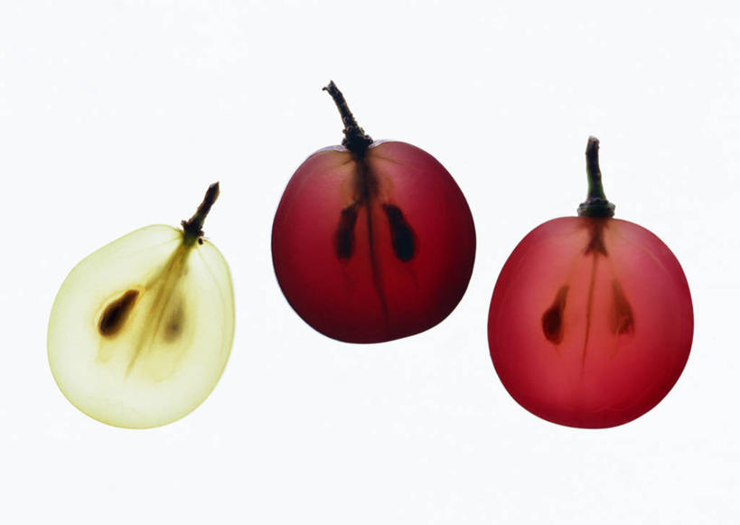 无人,横图,室内,特写,白天,白色背景,正面,葡萄,三个,红色,绿色,摄影,影棚,横截面,剖面,截面,截面图形,山葫芦,蒲桃,草龙珠,彩图,影棚拍摄,拍摄