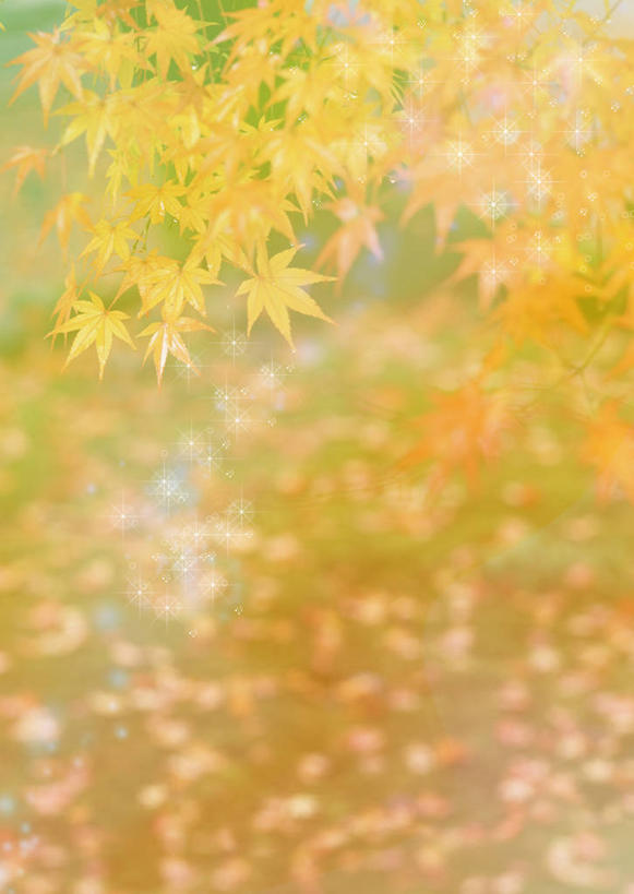 无人,竖图,插画,室内,白天,正面,幸福,数码,科技,叶子,许多,阴影,网络,枫叶,枯叶,落叶,高光,几何,计算机图形,辉煌,合成,图画,画,黄色,红色,温暖,橙色,活泼,枫树叶,华丽,暖色,电脑合成图,数码合成图,合成图,漫画,温情,写实,具体,具象,炽热,响亮,跃动,甜蜜,叶,叶片,彩图,愉快,葡萄槭,藤枫,藤槭