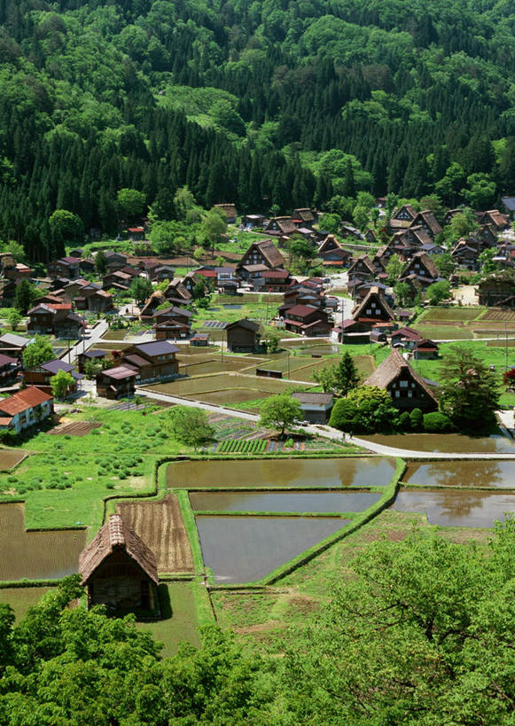 无人,家,木屋,农田,竖图,俯视,室外,白天,旅游,度假,庄稼,梯田,农作物,美景,森林,山,山脉,树林,植物,日本,亚洲,曲折,弯曲,景观,山峰,山峦,娱乐,住宅,树,树木,绿色,自然,群山,享受,休闲,景色,放松,蜿蜒,生长,成长,自然风光,东亚,本州,本州岛,日本国,中部地方,岐阜,岐阜县,彩图,高角度拍摄,耕地,庄稼田,茅舍,茅屋,棚屋,小木屋,小屋,大野郡,白川村