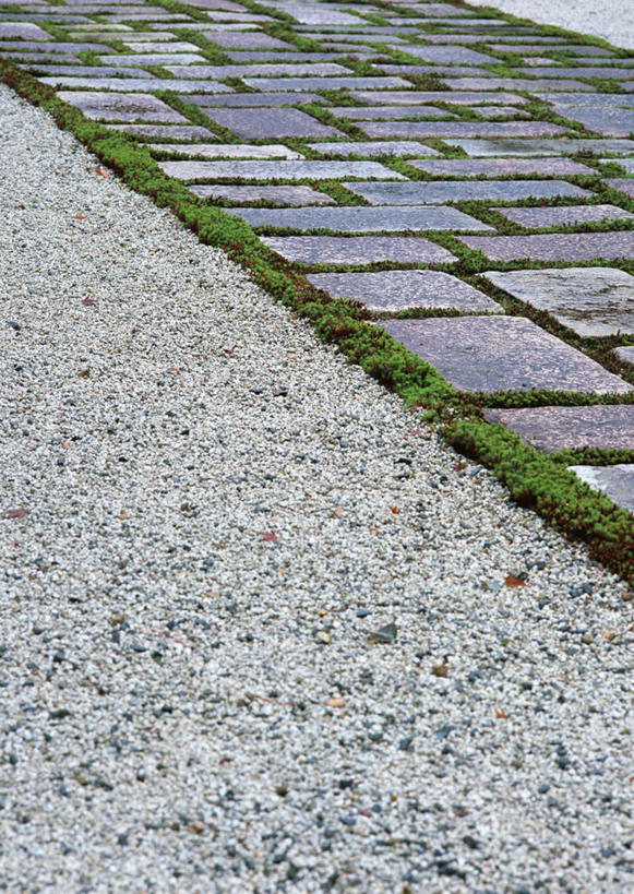无人,竖图,俯视,室外,特写,白天,草地,草坪,石头,美景,植物,道路,路,京都,日本,亚洲,石子,景观,小路,交通,石板路,草,绿色,自然,景色,京都府,自然风光,东亚,本州,本州岛,日本国,近畿地方,近畿,石块,岩石,彩图,高角度拍摄