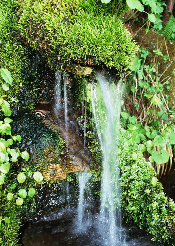 无人,竖图,室外,白天,正面,旅游,度假,石头,美景,山,山脉,水,日本,亚洲,阴影,飞溅,溅,光线,石子,液体,影子,景观,山峰,水滴,青苔,苔藓,山峦,娱乐,水珠,阳光,自然,群山,享受,休闲,景色,放松,喷洒,自然风光,东亚,本州,本州岛,日本国,中部地方,岐阜,岐阜县,石块,岩石,彩图,大野郡