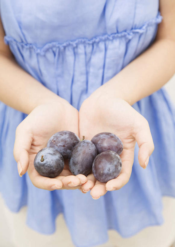 东方人,手,一个人,捧,竖图,俯视,室内,特写,白天,裙子,水果,亚洲,双手,仅一个年轻女性,仅一个女性,仅一个人,阴影,连衣裙,朦胧,模糊,新鲜,反射,影子,生食,食品,果实,黄种人,食物,蓝色,手部,有机食品,绿色食品,西梅,加州梅,年轻女性,女人,女性,亚洲人,端,端着,捧着,手捧,半身,彩图,高角度拍摄