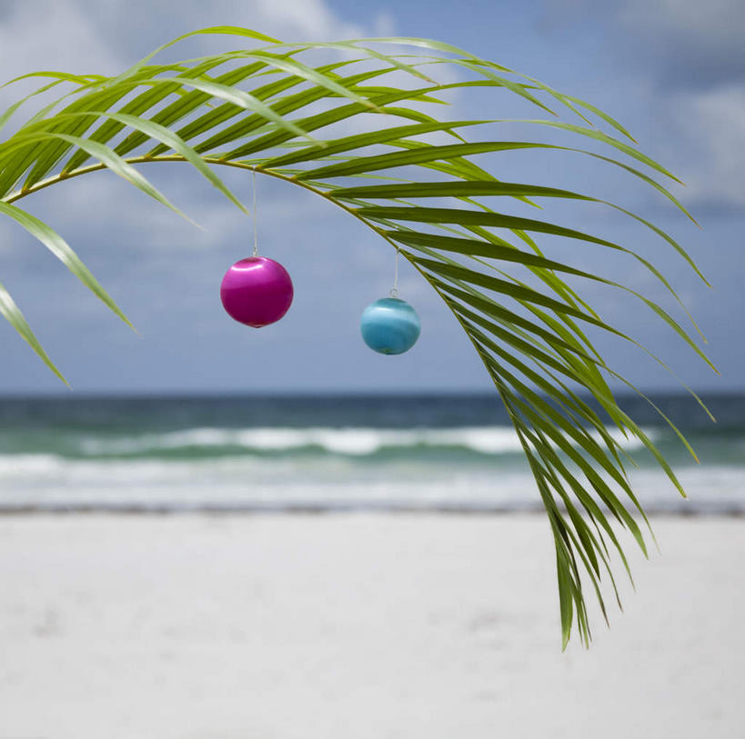 无人,横图,室外,白天,正面,旅游,度假,美景,植物,棕榈树,叶子,美国,吊挂,悬挂,阴影,装饰,光线,挂饰,影子,景观,云,云朵,绿叶,圣诞球,挂,云彩,娱乐,球,树,树木,两个,蓝色,绿色,白云,蓝天,天空,阳光,自然,天,享受,休闲,球体,嫩叶,景色,放松,生长,晴朗,成长,华丽,修饰,点缀,北美,北美洲,自然风光,美洲,棕榈叶,佛罗里达,佛罗里达州,佛州,阳光州,北亚美利加洲,亚美利加洲,衬托,美观,雅致,雅观,叶,叶片,晴空,彩图