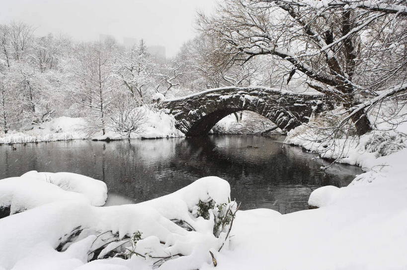 无人,横图,室外,白天,正面,度假,湖,湖泊,石头,美景,水,雪,植物,大雪,城市风光,城市,纽约,美国,石子,湖面,积雪,景观,水流,水面,雪景,冬季,冬天,桥,曼哈顿,枝条,娱乐,石桥,拱桥,栈桥,树,树木,树枝,湖水,享受,休闲,景色,放松,寒冷,拱形,人行桥,石拱桥,北美,北美洲,美洲,中央公园,纽约中央公园,纽约州,帝国之州,帝国州,北亚美利加洲,亚美利加洲,严寒,虬枝,枝杈,石块,彩图,曼哈顿岛