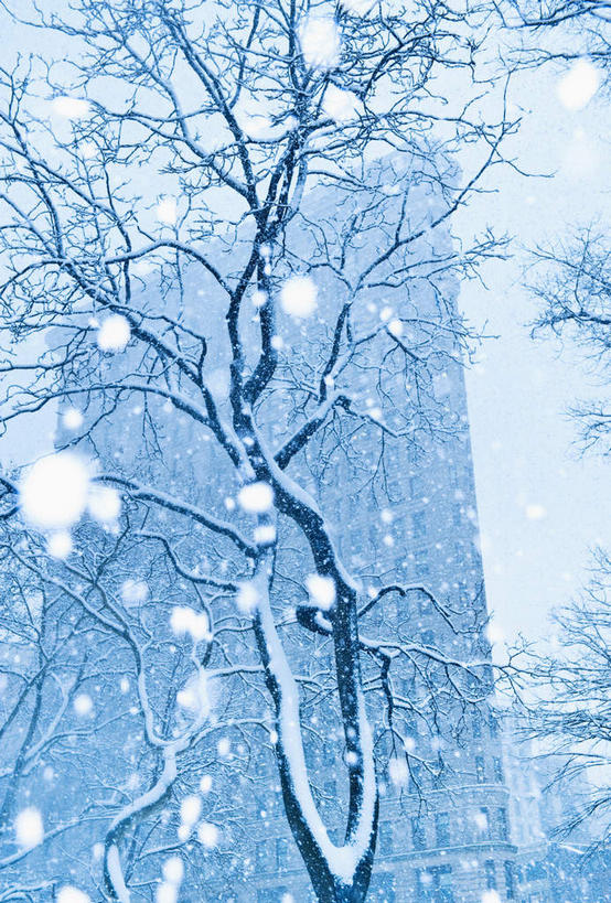 无人,高楼大厦,竖图,室外,白天,仰视,旅游,度假,雪,植物,大雪,标志建筑,城市,大厦,道路,地标,建筑,路,摩天大楼,纽约,美国,积雪,雪景,冬季,冬天,小路,曼哈顿,枝条,交通,娱乐,建设,树,树木,树枝,享受,休闲,旅游胜地,放松,寒冷,北美,北美洲,美洲,第五大道,纽约州,帝国之州,帝国州,北亚美利加洲,亚美利加洲,严寒,纽约第五街,虬枝,枝杈,福勒大厦,熨斗大厦,彩图,低角度拍摄,大楼,高层建筑,高楼,摩天楼,曼哈顿岛