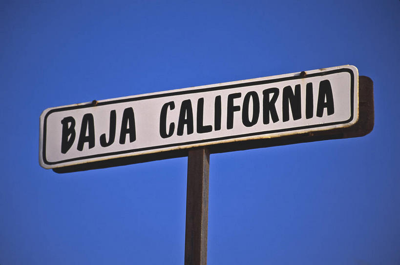 无人,横图,室外,特写,白天,仰视,旅游,度假,美景,指示牌,墨西哥,一排,阴影,整齐,光线,英文,标志,路标,文字,影子,字符,字母,景观,娱乐,标识,路牌,排列,蓝色,蓝天,天空,阳光,自然,天,享受,休闲,景色,放松,晴朗,英文字母,北美,北美洲,队列,自然风光,美洲,万里无云,北亚美利加洲,亚美利加洲,墨西哥合众国,仙人掌王国,北下加利福尼亚,北下加利福尼亚州,下加利福尼亚州,晴空,晴空万里,彩图,低角度拍摄