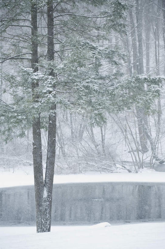 无人,竖图,室外,白天,正面,旅游,度假,湖,湖泊,美景,树林,水,雪,植物,大雪,美国,朦胧,模糊,湖面,积雪,景观,水流,水面,雪景,冬季,冬天,娱乐,树,树木,绿色,自然,湖水,享受,休闲,景色,放松,寒冷,生长,成长,北美,北美洲,自然风光,美洲,北亚美利加洲,亚美利加洲,康涅狄格,康涅狄格州,宪法之州,豆蔻之州,严寒,彩图