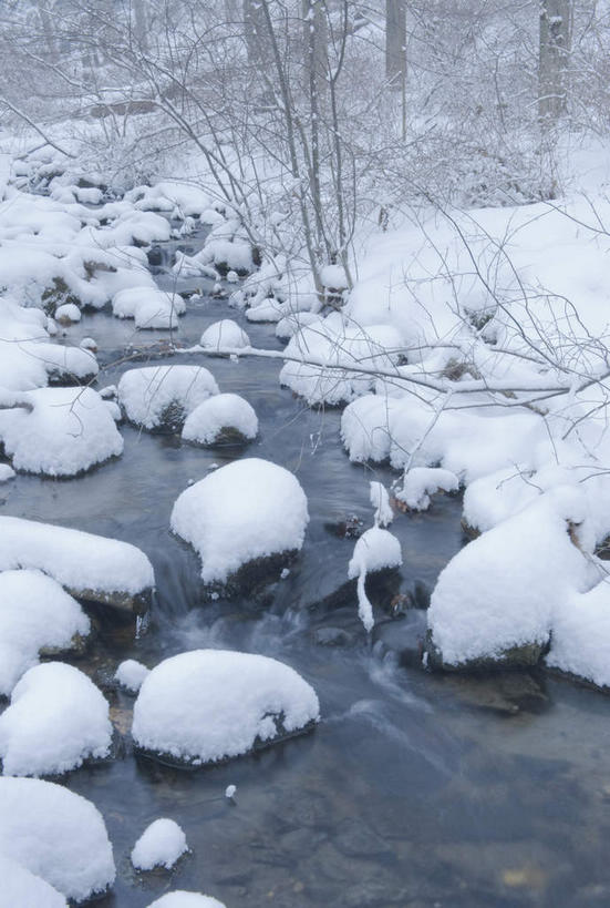 无人,竖图,俯视,室外,白天,旅游,度假,河流,石头,美景,树林,水,雪,植物,大雪,美国,朦胧,模糊,石子,河水,积雪,景观,水流,雪景,冬季,冬天,娱乐,树,树木,绿色,自然,享受,休闲,景色,放松,寒冷,生长,成长,北美,北美洲,自然风光,美洲,北亚美利加洲,亚美利加洲,康涅狄格,康涅狄格州,宪法之州,豆蔻之州,严寒,石块,彩图,高角度拍摄