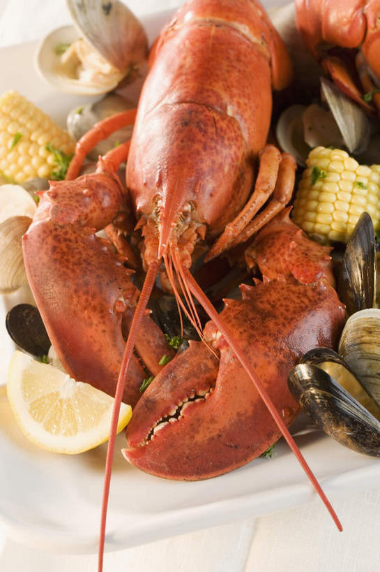 海鲜,龙虾,无人,竖图,俯视,室内,特写,白天,玉米,餐桌,桌子,柠檬,蔬菜,贝壳,餐具,水果,许多,新鲜,棒子,碟子,盘,玉蜀黍,生食,虾,食品,果实,蔬果,水产,海洋生物,食物,一只,红色,盘子,碟,有机食品,绿色食品,餐台,苞米,水生动物,海产品,贻贝,苞芦,水生物,海底动物,苞谷,包谷,大蜀黍,番麦,薏米包,玉高粱,玉麦,珍珠米,海虹,淡菜,壳菜,青口,益母果,柠果,半身,彩图,高角度拍摄,波士顿龙虾