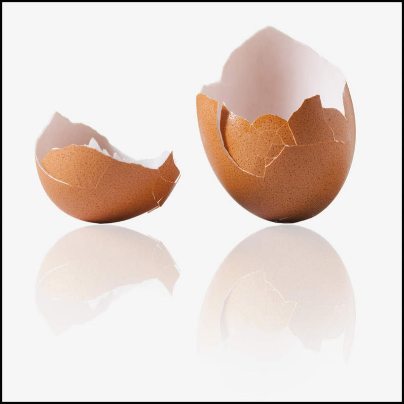 无人,方图,室内,特写,白天,白色背景,正面,阴影,破碎,反射,影子,蛋,蛋壳,鸡蛋,摄影,影棚,破裂,摧毁,卵,彩图,影棚拍摄,拍摄