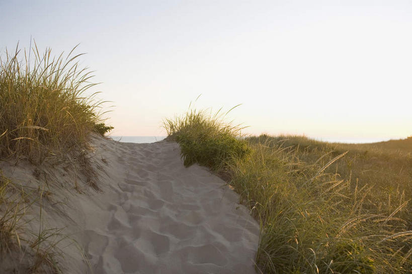 无人,横图,室外,白天,正面,旅游,度假,美景,沙滩,植物,道路,路,美国,阴影,枯萎,光线,沙子,影子,海岸,景观,小路,枯草,交通,沙地,娱乐,草,黄色,蓝色,蓝天,天空,阳光,自然,天,享受,休闲,景色,放松,晴朗,北美,北美洲,自然风光,美洲,万里无云,马萨诸塞州,麻州,麻省,马萨诸塞,麻塞诸塞,老殖民地,海湾之州,北亚美利加洲,亚美利加洲,海滩,晴空,晴空万里,彩图