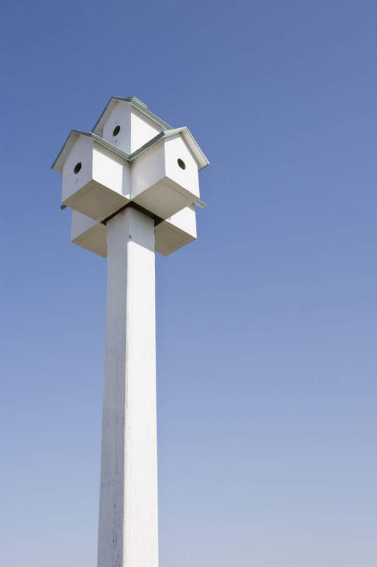 无人,竖图,室外,白天,仰视,旅游,度假,美景,美国,阴影,光线,影子,景观,鸟笼,娱乐,蓝色,蓝天,天空,阳光,自然,天,享受,休闲,景色,放松,晴朗,北美,北美洲,自然风光,美洲,万里无云,马萨诸塞州,麻州,麻省,马萨诸塞,麻塞诸塞,老殖民地,海湾之州,北亚美利加洲,亚美利加洲,晴空,晴空万里,彩图,低角度拍摄