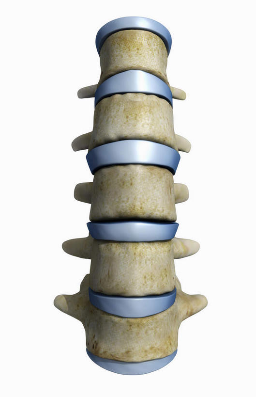 脊髓,动脉,静脉,骨骼,无人,竖图,插画,室内,特写,白天,白色背景,正面,数码,科技,静物,阴影,网络,医学,骨头,高光,几何,计算机图形,合成,图画,画,模型,人体,电脑合成图,数码合成图,骨架,生物学,漫画,生理学,写实,具体,具象,颈骨,腰骨,脊柱,半身,彩图