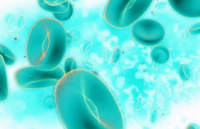 无人,横图,插画,室内,特写,白天,白色背景,正面,数码,科技,静物,阴影,网络,医学,细胞,高光,几何,计算机图形,合成,图画,画,绿色,血液,人体,电脑合成图,数码合成图,生物学,血细胞,漫画,白细胞,生理学,写实,具体,具象,红细胞,彩图