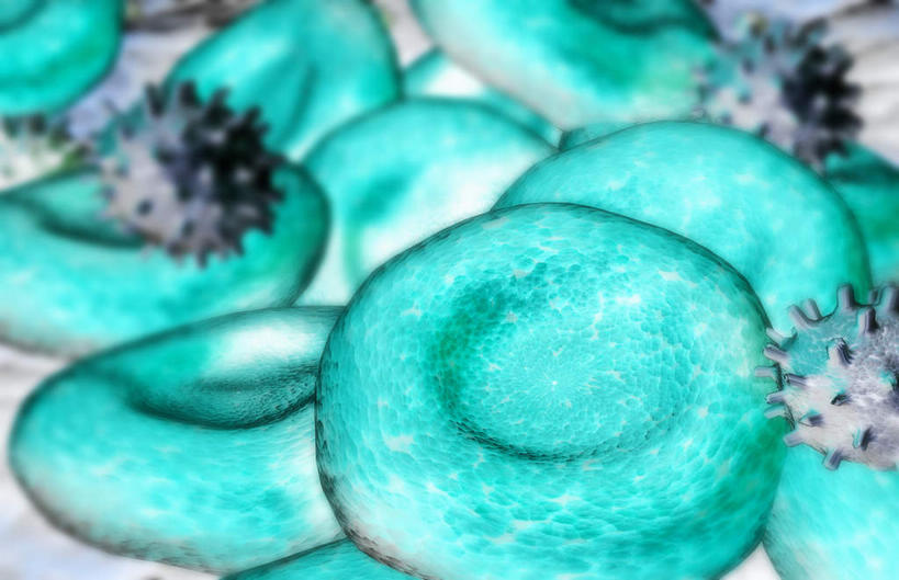 无人,横图,插画,室内,特写,白天,正面,数码,科技,静物,许多,阴影,网络,医学,细胞,高光,几何,计算机图形,合成,图画,画,绿色,球体,血液,人体,电脑合成图,数码合成图,生物学,心血管系统,漫画,生理学,写实,具体,具象,红细胞,T淋巴细胞,彩图