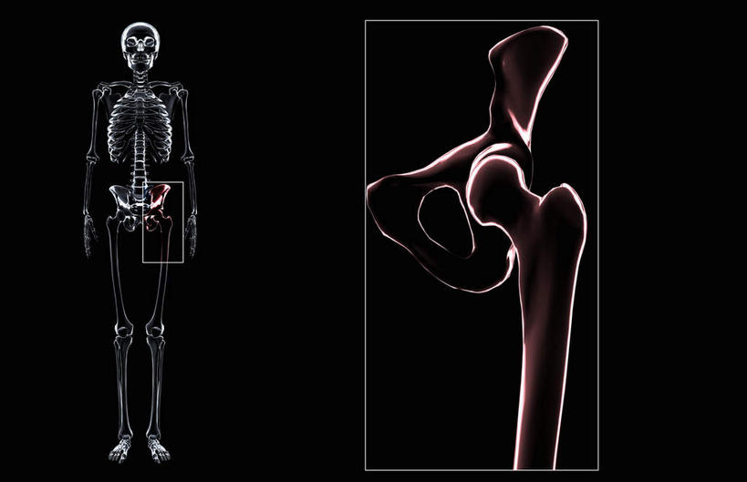 脊髓,动脉,静脉,骨骼,胸骨,肋骨,骨盆,无人,横图,插画,x光片,室内,特写,白天,正面,数码,科技,静物,阴影,辐射,科学,网络,医学,骨头,高光,几何,计算机图形,合成,图画,画,模型,人体,电脑合成图,数码合成图,骨架,医疗,生物学,科学技术,x射线,x光,漫画,生理学,写实,具体,具象,髌骨,腓骨,股骨,胫骨,软肋骨,胸椎,腰骨,脊柱,彩图,全身,电磁波,电磁辐射