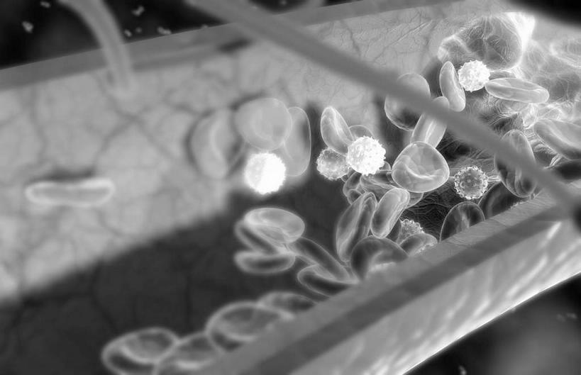 无人,横图,黑白,插画,室内,特写,白天,正面,数码,科技,静物,阴影,网络,医学,细胞,高光,几何,计算机图形,合成,图画,画,人体,电脑合成图,数码合成图,生物学,漫画,生理学,写实,具体,具象,T淋巴细胞,T细胞,淋巴细胞