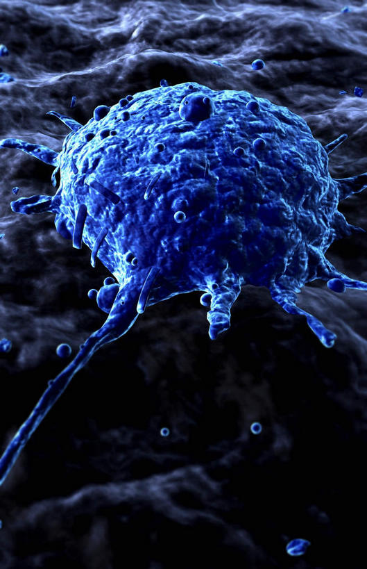 无人,竖图,插画,室内,白天,正面,数码,科技,微生物,静物,阴影,网络,医学,细胞,高光,几何,计算机图形,合成,图画,画,蓝色,生物,人体,电脑合成图,数码合成图,医疗,生物学,血细胞,蛋白质,漫画,生理学,写实,具体,具象,寄生,生命体,吞噬细胞,彩图