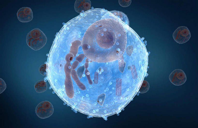 无人,横图,插画,室内,白天,正面,数码,科技,微生物,静物,阴影,网络,细胞核,医学,高光,几何,计算机图形,合成,图画,画,生物,人体,电脑合成图,数码合成图,细胞器,医疗,生物学,漫画,生理学,写实,具体,具象,寄生,生命体,线粒体,彩图