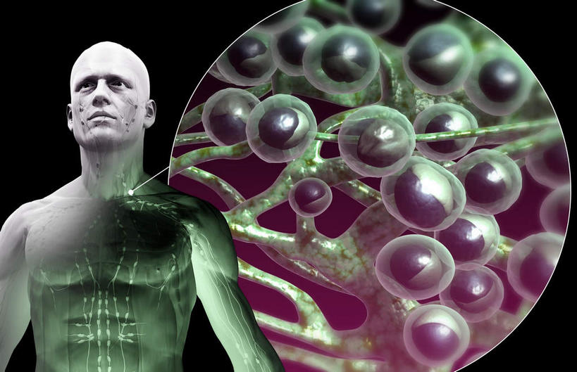 一个人,无人,站,横图,插画,室内,白天,正面,数码,科技,静物,仅一个男性,仅一个人,阴影,黑色背景,网络,医学,细胞,高光,几何,计算机图形,合成,图画,画,仅一个年轻男性,站着,人体,电脑合成图,数码合成图,生物学,漫画,生理学,写实,具体,具象,淋巴结,淋巴系统,男人,男性,年轻男性,站立,半身,彩图