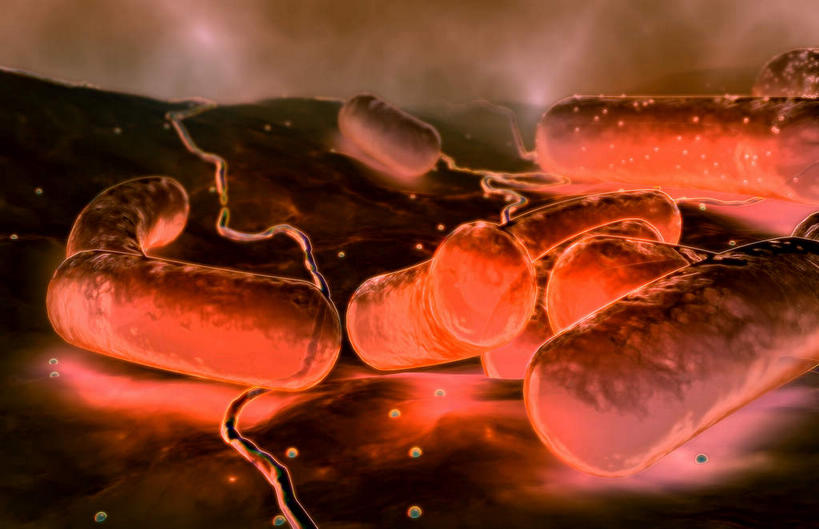 无人,横图,插画,室内,白天,正面,数码,科技,静物,阴影,网络,医学,高光,几何,计算机图形,合成,图画,画,橙色,生物,人体,电脑合成图,数码合成图,医疗,生物学,漫画,生理学,写实,具体,具象,蜡样芽孢杆菌,破伤风杆菌,肉毒杆菌,彩图