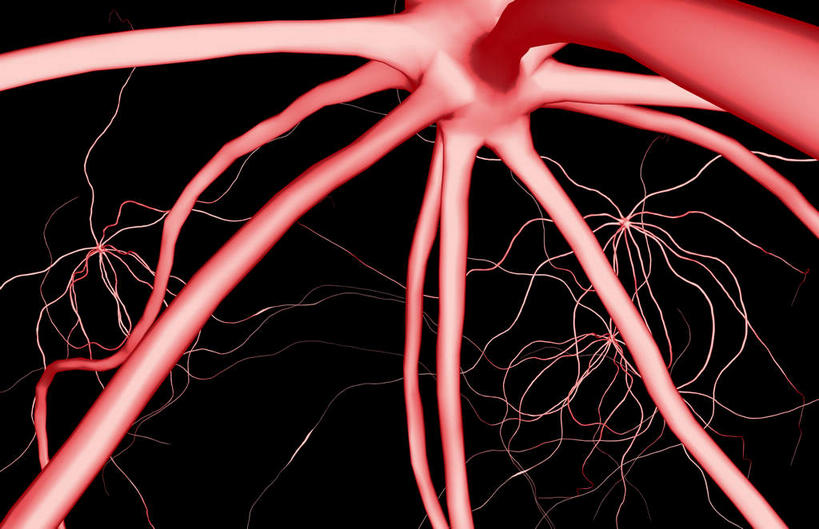 无人,横图,插画,室内,白天,正面,数码,科技,微生物,静物,阴影,网络,医学,高光,几何,计算机图形,合成,图画,画,红色,生物,人体,电脑合成图,数码合成图,医疗,生物学,漫画,神经元,生理学,写实,具体,具象,树突,寄生,生命体,运动神经元,轴突,彩图,神经系统