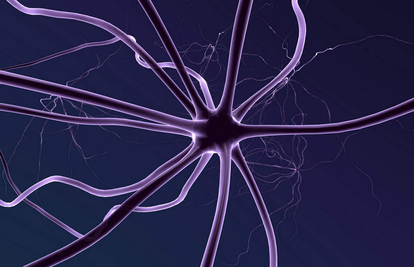 无人,横图,插画,室内,白天,正面,数码,科技,微生物,静物,阴影,紫色背景,网络,医学,高光,几何,计算机图形,合成,图画,画,红色,生物,人体,电脑合成图,数码合成图,医疗,生物学,漫画,神经元,生理学,写实,具体,具象,树突,寄生,生命体,运动神经元,轴突,彩图,神经系统