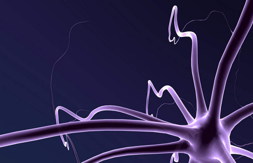 无人,横图,插画,室内,白天,正面,数码,科技,微生物,静物,阴影,紫色背景,网络,医学,高光,几何,计算机图形,合成,图画,画,红色,生物,人体,电脑合成图,数码合成图,医疗,生物学,漫画,神经元,生理学,写实,具体,具象,树突,寄生,生命体,运动神经元,轴突,彩图,神经系统