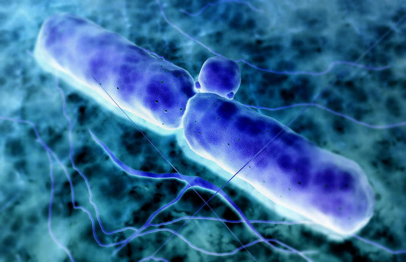 无人,横图,插画,室内,特写,白天,正面,数码,科技,微生物,阴影,黑色背景,网络,医学,高光,几何,计算机图形,合成,图画,画,蓝色,生物,电脑合成图,数码合成图,医疗,病毒,生物学,漫画,写实,具体,具象,寄生,生命体,生物病毒,肉毒杆菌,彩图