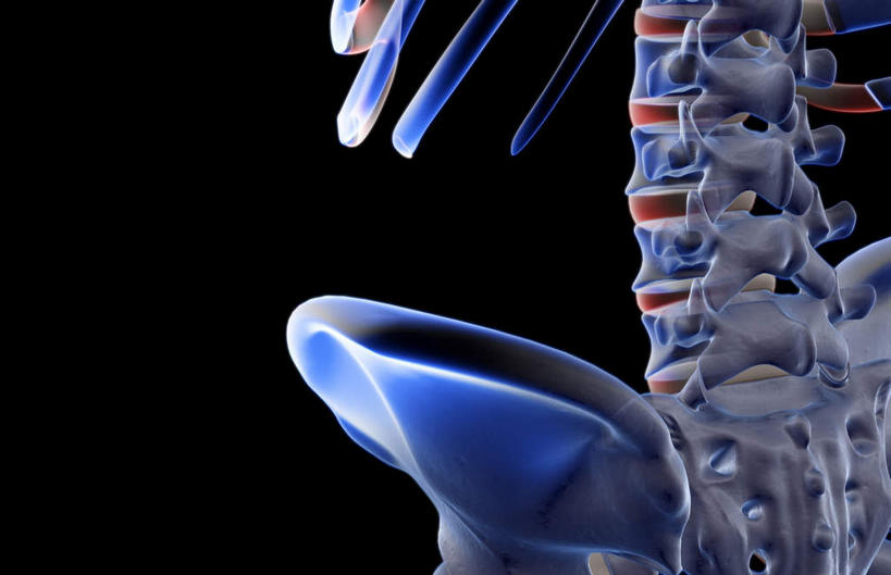 脊髓,动脉,静脉,骨骼,无人,横图,插画,x光片,室内,特写,白天,正面,数码,科技,静物,阴影,黑色背景,辐射,科学,网络,医学,骨头,高光,几何,计算机图形,合成,图画,画,模型,人体,电脑合成图,数码合成图,骨架,医疗,生物学,科学技术,x射线,x光,漫画,生理学,写实,具体,具象,髋骨,脊椎骨,脊柱,彩图,电磁波,电磁辐射