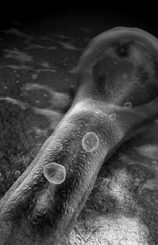 无人,竖图,插画,室内,白天,白色背景,正面,数码,科技,静物,阴影,网络,医学,细胞,高光,几何,计算机图形,合成,图画,画,人体,电脑合成图,数码合成图,疾病,生物学,漫画,生理学,写实,具体,具象,传染,破伤风杆菌,破伤风,彩图,杆状体